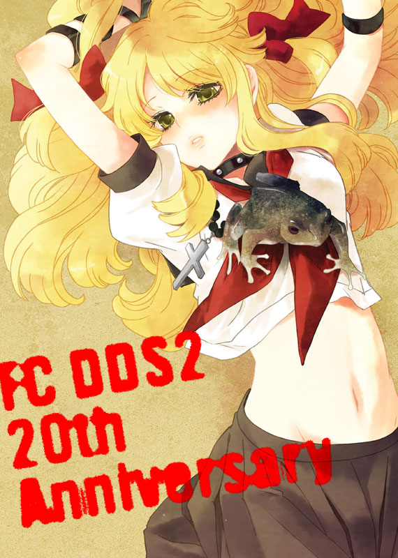 FCDDS2�@20���N���������\���B
